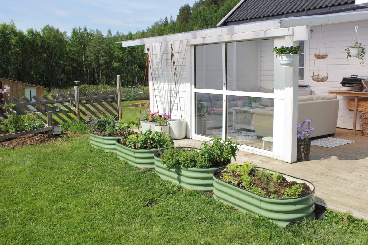 Ved bolighuset er det også et rikholdig grønnsaksbed. Foto: Bård Inge Romundstad