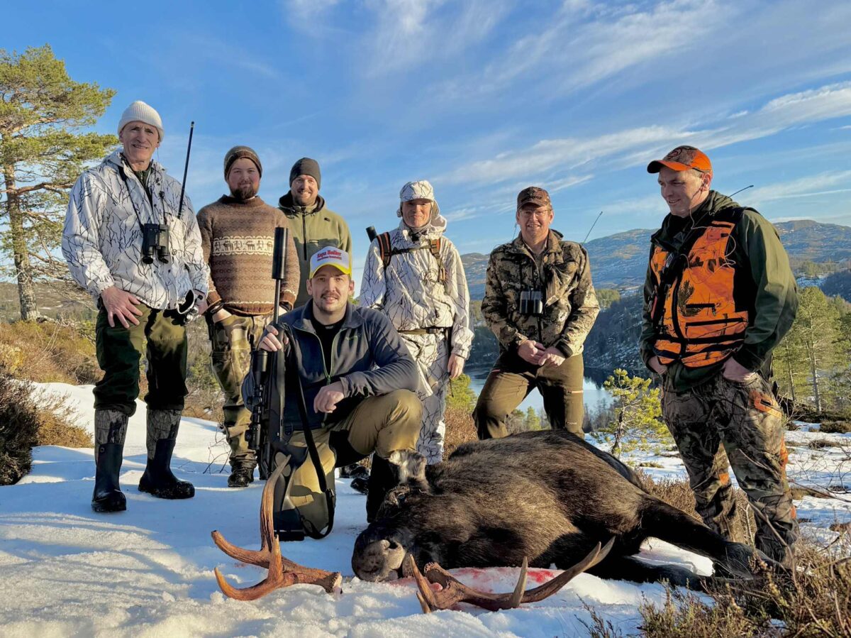 Bilde av jaktlaget bak en felt elgokse.