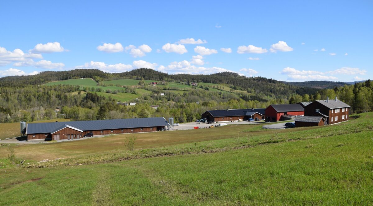 Flere gårdsbygg