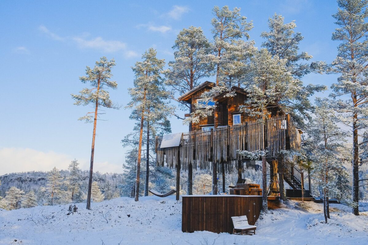 Tretopphytte i vinterlandskap